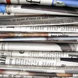 Division Papel Cellmark